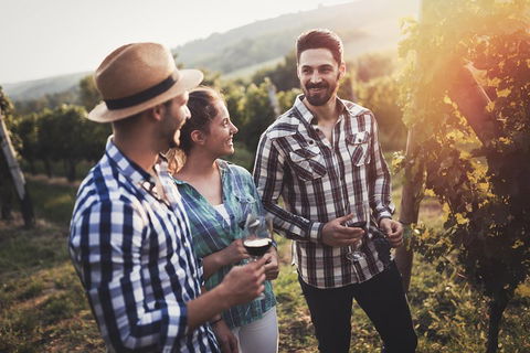 Full Day Mount Tamborine Winery Tour From Gold Coast - Accommodation Port Macquarie 5