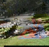 Mt Tamborine - Hinterland Wonders Self Guided - Accommodation Port Macquarie