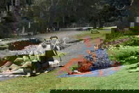 Mt Tamborine - Hinterland Wonders Self Guided, Surfers Paradise