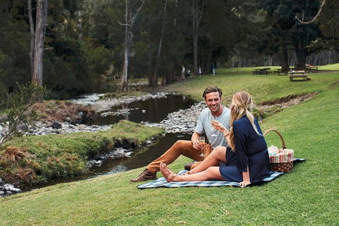 Mt Tamborine - Hinterland Wonders Self Guided - Accommodation Port Macquarie 0