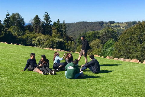 Mt Tamborine - Hinterland Wonders Self Guided - Accommodation Port Macquarie 1