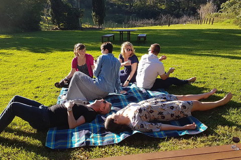 Mt Tamborine - Hinterland Wonders Self Guided - Accommodation Port Macquarie 2