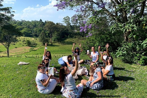 Mt Tamborine - Hinterland Wonders Self Guided - Accommodation Port Macquarie 5