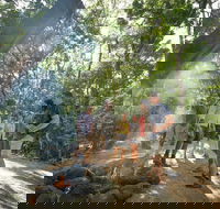 Mossman Gorge Adventure Day - Accommodation Port Macquarie