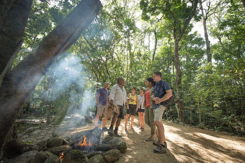 Mossman Gorge Adventure Day - Accommodation Port Macquarie 0