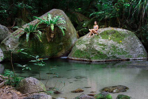 Mossman Gorge Adventure Day - Accommodation Port Macquarie 2