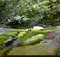 Daintree Dreaming Traditional Aboriginal Fishing from Cairns or Port Douglas - Accommodation Port Macquarie