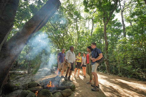 Daintree Dreaming Traditional Aboriginal Fishing From Cairns Or Port Douglas - Accommodation Port Macquarie 5