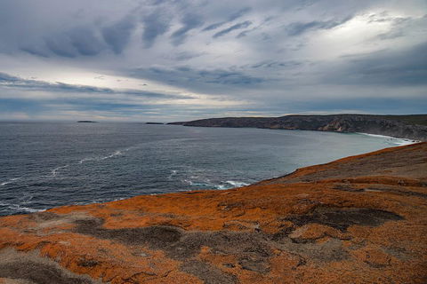 Kangaroo Island Luxury Small Group 'Flinders Chase Focus' Full Day Tour - Accommodation Port Macquarie 0