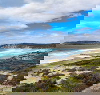 Kangaroo Island Luxury Small Group 'East End Explorer' Full Day Tour - Accommodation Port Macquarie