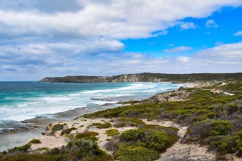 Kangaroo Island Luxury Small Group 'East End Explorer' Full Day Tour - Accommodation Port Macquarie 0