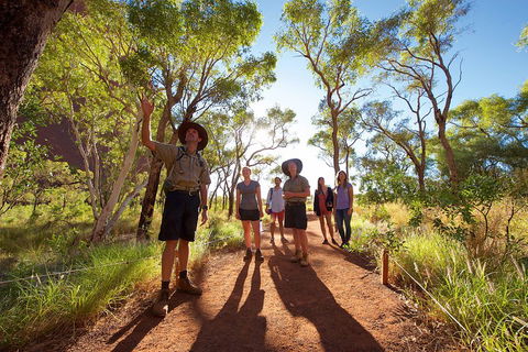 Uluru Small Group Tour Including Sunset - Accommodation Port Macquarie 0