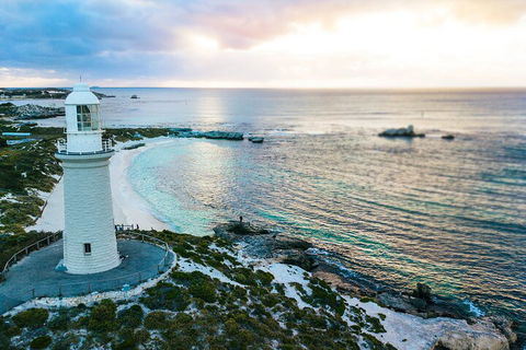 Discover Rottnest With Ferry & Bus Tour From Perth Or Fremantle - Accommodation Port Macquarie 2