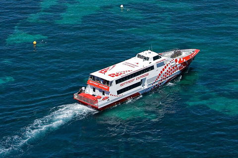 Discover Rottnest With Ferry & Bus Tour From Perth Or Fremantle - Accommodation Port Macquarie 3
