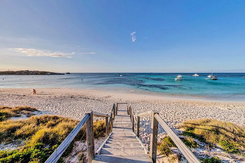 Discover Rottnest With Ferry & Bus Tour From Perth Or Fremantle - Accommodation Port Macquarie 4