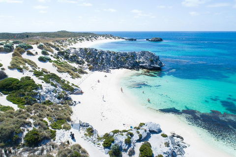 Discover Rottnest With Ferry & Bus Tour From Perth Or Fremantle - Accommodation Port Macquarie 5