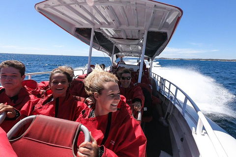 Adventure Rottnest Tour With Ferry & Adventure Cruise From Perth Or Fremantle - Accommodation Port Macquarie 0