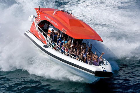 Adventure Rottnest Tour With Ferry & Adventure Cruise From Perth Or Fremantle - Accommodation Port Macquarie 2