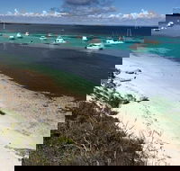 Experience Rottnest with Ferry  Bike Hire from Perth or Fremantle - Accommodation Port Macquarie
