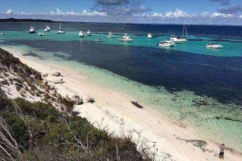 Experience Rottnest With Ferry & Bike Hire From Perth Or Fremantle - Accommodation Port Macquarie 0