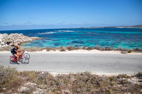 Experience Rottnest With Ferry & Bike Hire From Perth Or Fremantle - Accommodation Port Macquarie 2