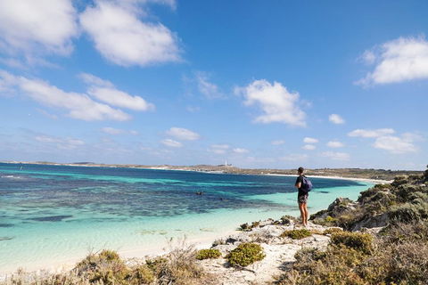 Experience Rottnest With Ferry & Bike Hire From Perth Or Fremantle - Accommodation Port Macquarie 3