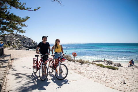 Experience Rottnest With Ferry & Bike Hire From Perth Or Fremantle - Accommodation Port Macquarie 4