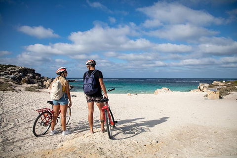 Experience Rottnest With Ferry & Bike Hire From Perth Or Fremantle - Accommodation Port Macquarie 5