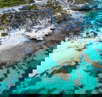 Rottnest Island Round-Trip Ferry from Perth or Fremantle - Accommodation Port Macquarie