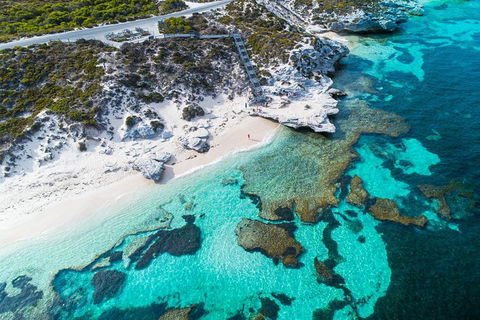 Rottnest Island Round-Trip Ferry From Perth Or Fremantle - Accommodation Port Macquarie 0