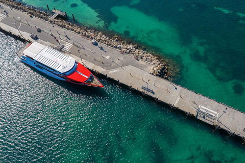Rottnest Island Round-Trip Ferry From Perth Or Fremantle - Accommodation Port Macquarie 1