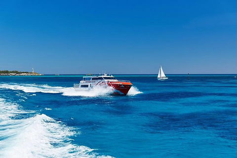 Rottnest Island Round-Trip Ferry From Perth Or Fremantle - Accommodation Port Macquarie 4