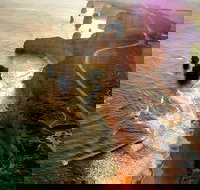 Full-Day Great Ocean Road and 12 Apostles Sunset Tour from Melbourne - Accommodation Port Macquarie