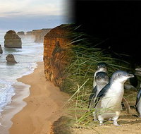 Melbourne Super Saver Great Ocean Road  Phillip Island  Attraction Pass - Accommodation Port Macquarie