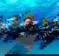 Great Barrier Reef Diving and Snorkeling Cruise from Cairns - Accommodation Port Macquarie
