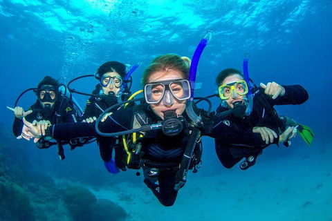 Great Barrier Reef Diving And Snorkeling Cruise From Cairns - Accommodation Port Macquarie 0