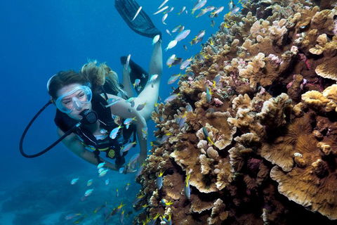 Great Barrier Reef Diving And Snorkeling Cruise From Cairns - Accommodation Port Macquarie 1