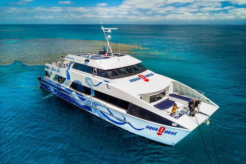Great Barrier Reef Diving And Snorkeling Cruise From Cairns - Accommodation Port Macquarie 5