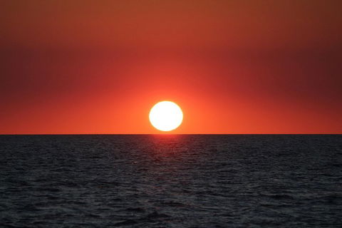 Roebuck Bay Snubfin Dolphin Cruise - Accommodation Port Macquarie 3