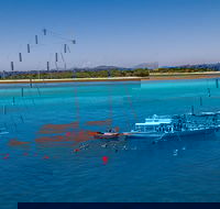 Ocean Free Green Island  Great Barrier Reef Snorkel Cruise Cairns 25 guests - Accommodation Port Macquarie
