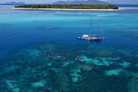 Ocean Free Green Island & Great Barrier Reef Snorkel Cruise, Cairns 25 Guests - Accommodation Port Macquarie 2