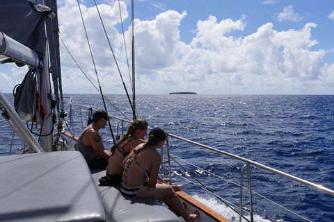 Ocean Free Green Island & Great Barrier Reef Snorkel Cruise, Cairns 25 Guests - Accommodation Port Macquarie 4