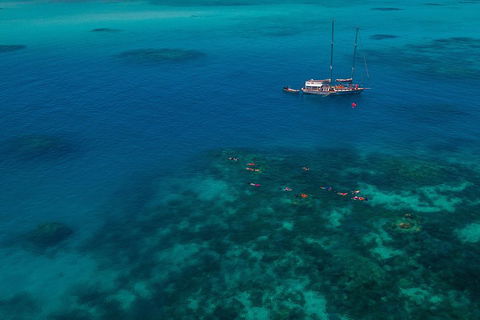Ocean Free Green Island & Great Barrier Reef Snorkel Cruise, Cairns 25 Guests - Accommodation Port Macquarie 5