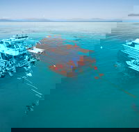 Ocean Freedom Great Barrier Reef Personal Luxury Snorkel  Dive Cruise Cairns - Accommodation Port Macquarie