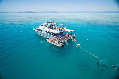 Ocean Freedom Great Barrier Reef Personal Luxury Snorkel & Dive Cruise, Cairns - Accommodation Port Macquarie 0