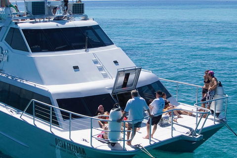 Ocean Freedom Great Barrier Reef Personal Luxury Snorkel & Dive Cruise, Cairns - Accommodation Port Macquarie 1