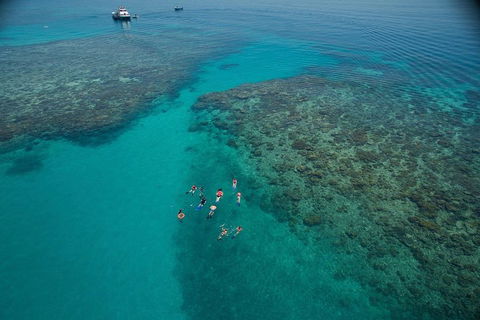 Ocean Freedom Great Barrier Reef Personal Luxury Snorkel & Dive Cruise, Cairns - Accommodation Port Macquarie 3