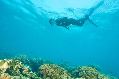 Ocean Freedom Great Barrier Reef Personal Luxury Snorkel & Dive Cruise, Cairns - Accommodation Port Macquarie 5