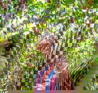 5 Day Australia Retreat Queensland Daintree - Accommodation Port Macquarie