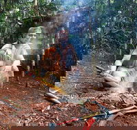 Kuranda Highlights including Rainforestation Aboriginal Culture and Wildlife - Accommodation Port Macquarie